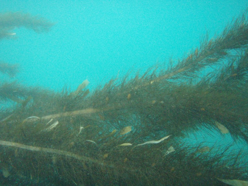 sm_p2100042.jpg