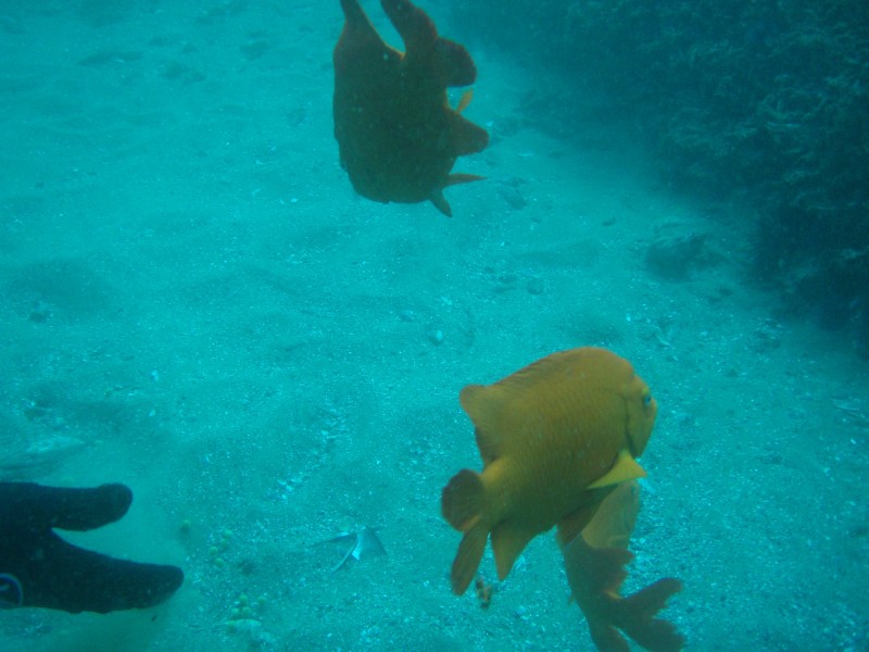 sm_p2240033.jpg