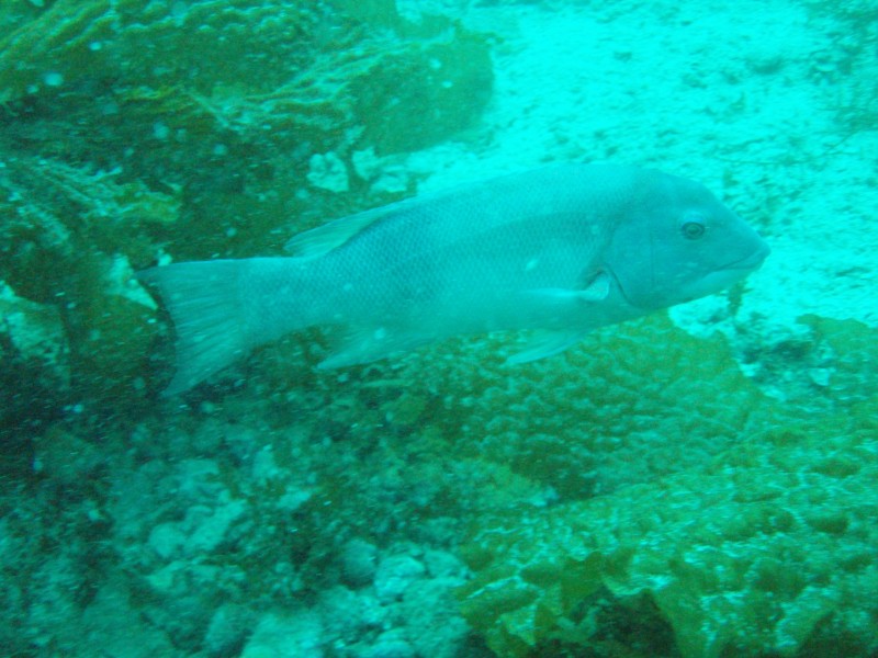sm_p3110081.jpg