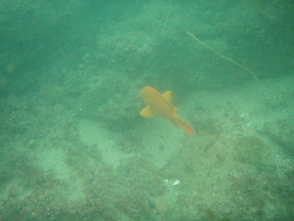 sm_P7134050.JPG
