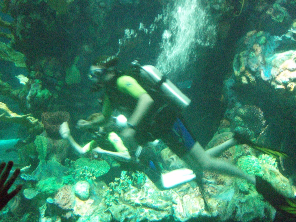sm_P5057014.JPG