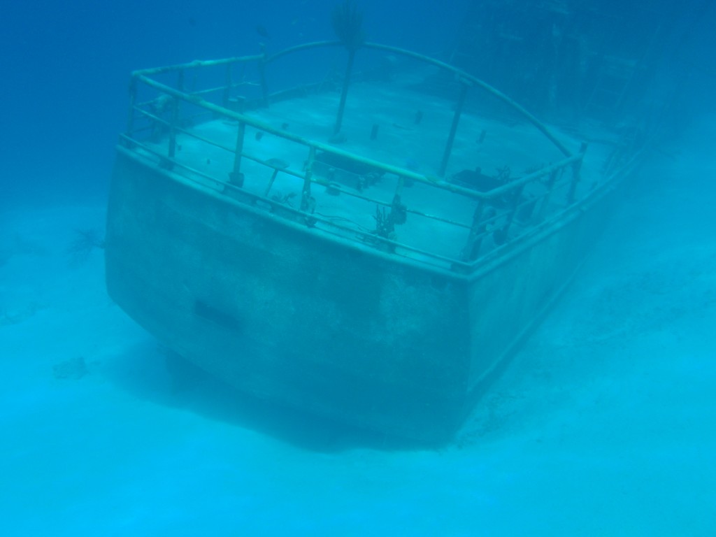 sm_P1082591.JPG