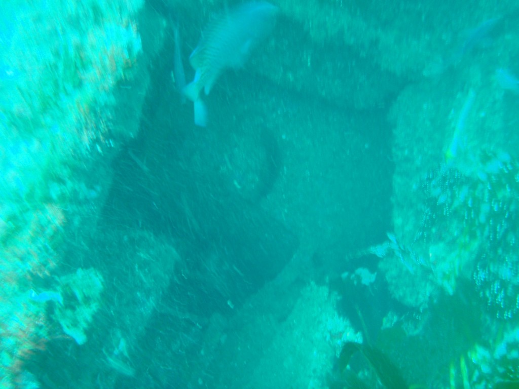 sm_AR-P8213443.JPG