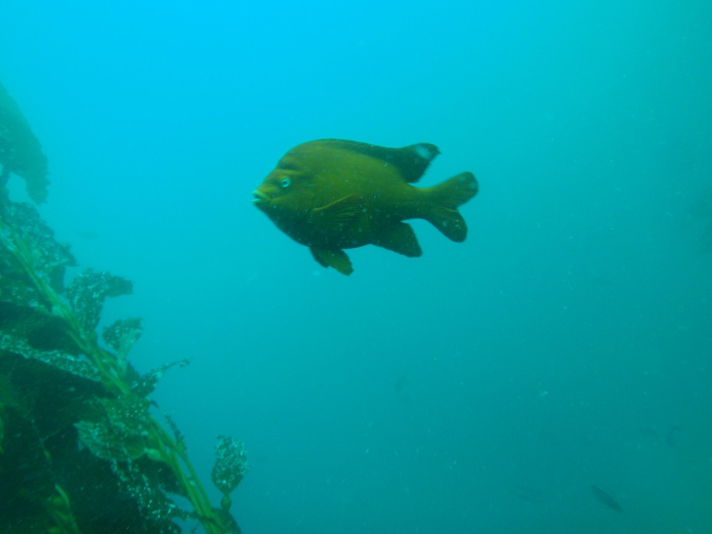 sm_AR-P8213449.JPG