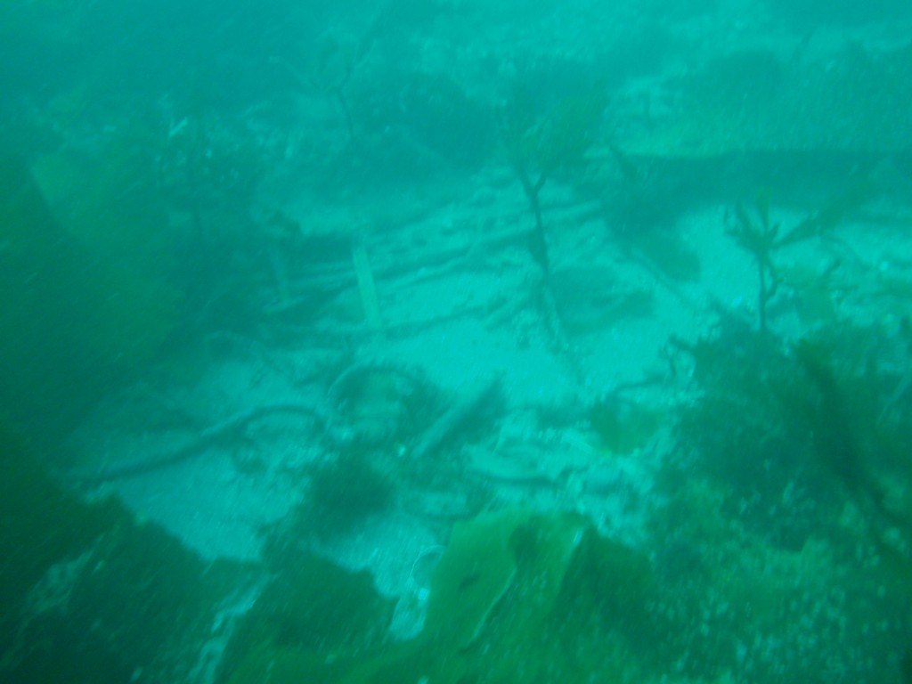 sm_AR-P8213462.JPG