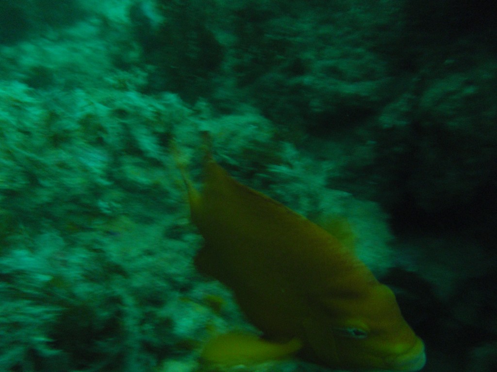 sm_AR-P8213518.JPG