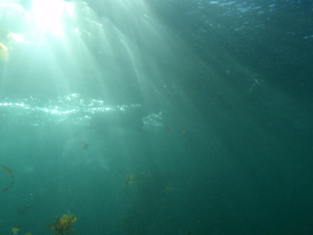 sm_P8213381.JPG