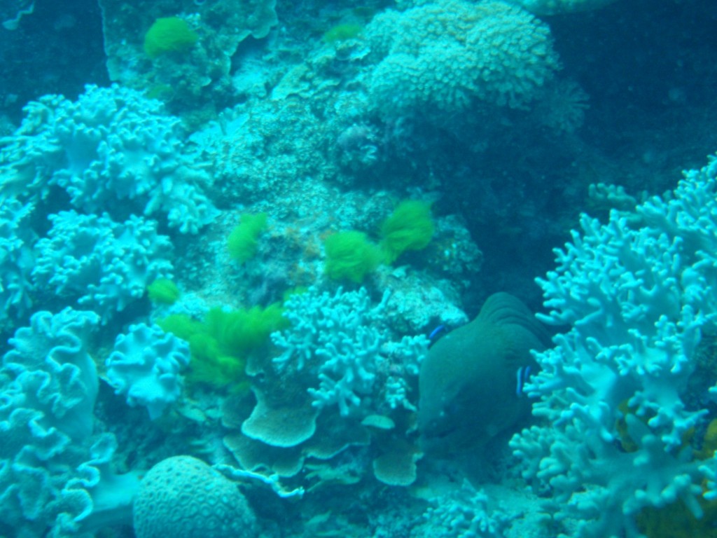 sm_AR-P9034094.JPG