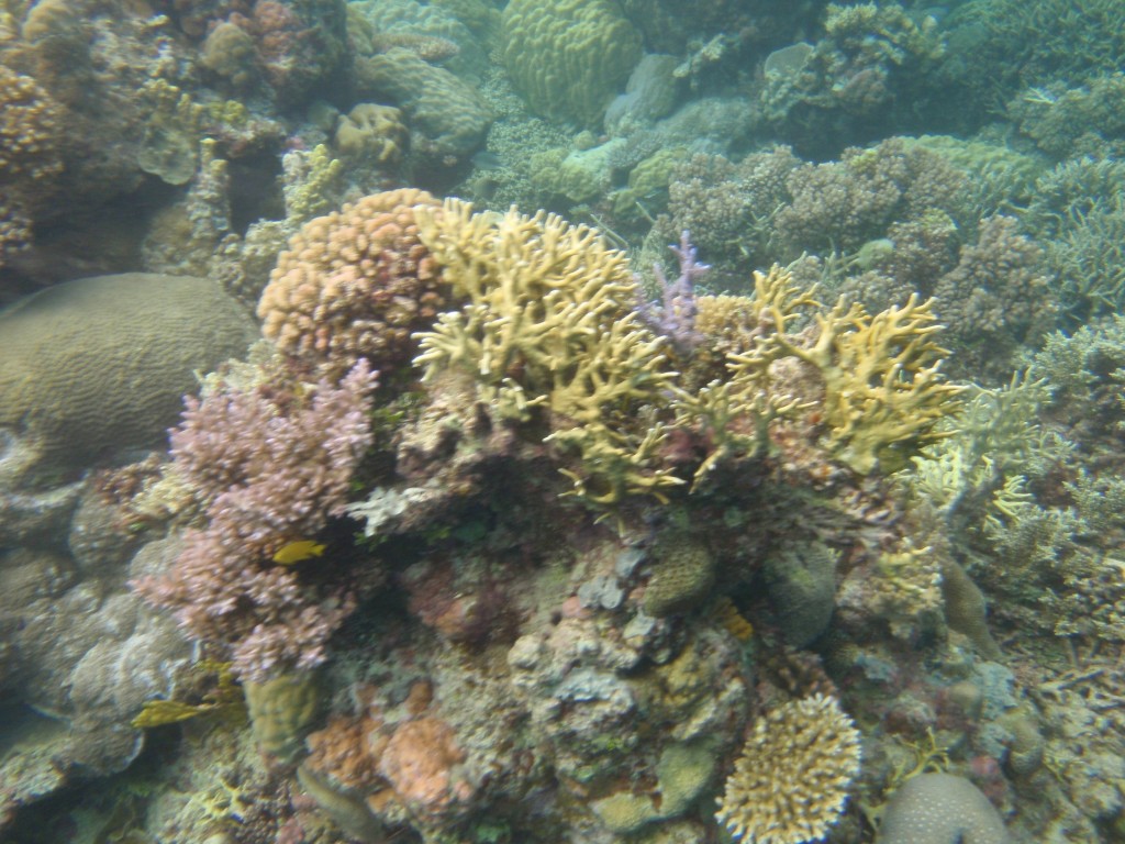 sm_P9034092.JPG