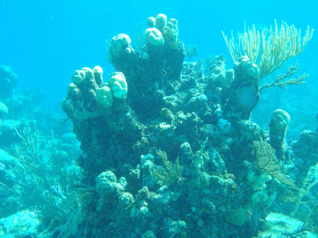 sm_PA297172.JPG